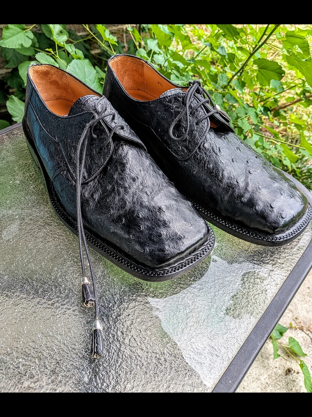 David Eden Men's Exotic 